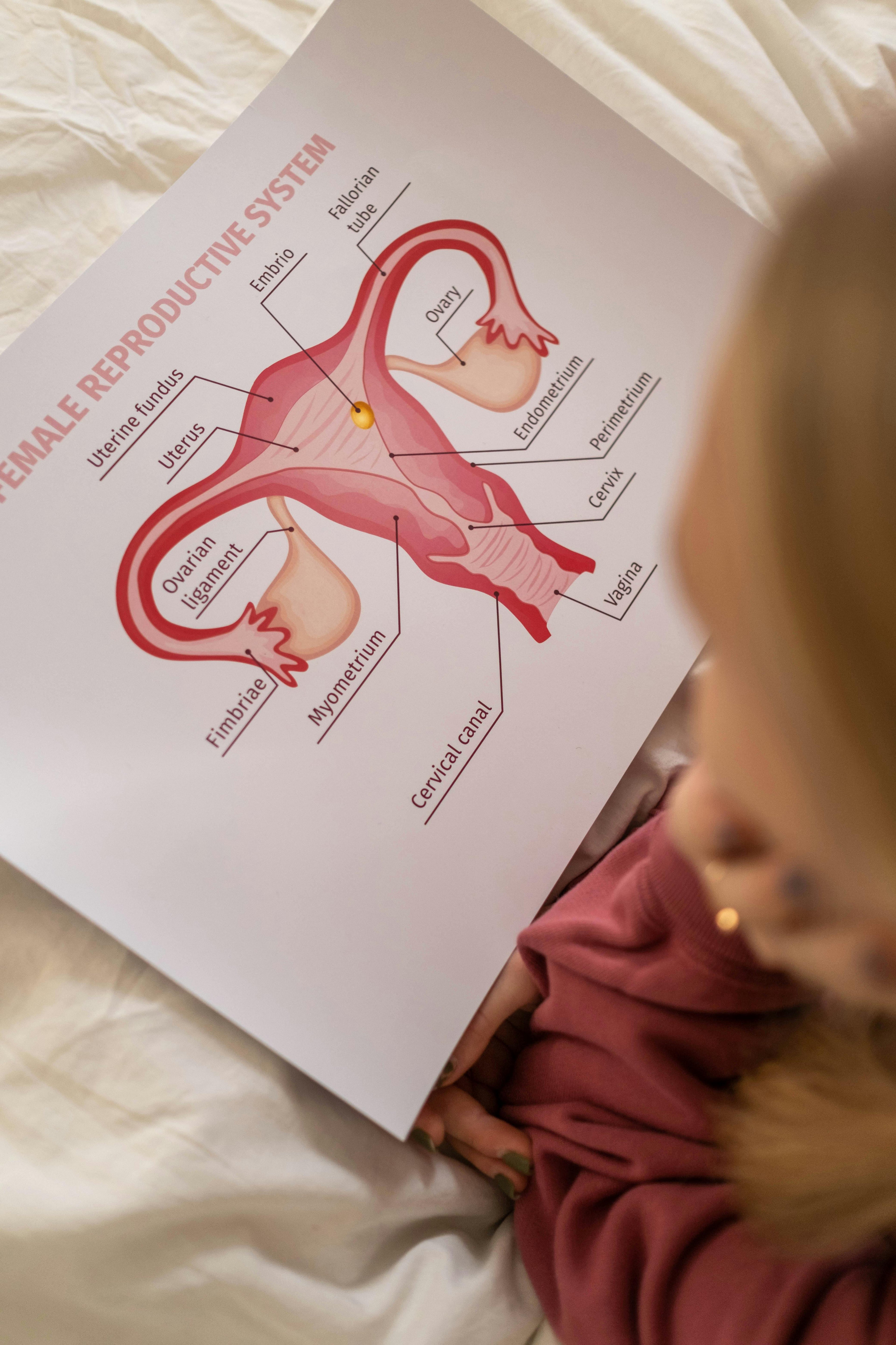 Comprendre l'Adénomyose Image
